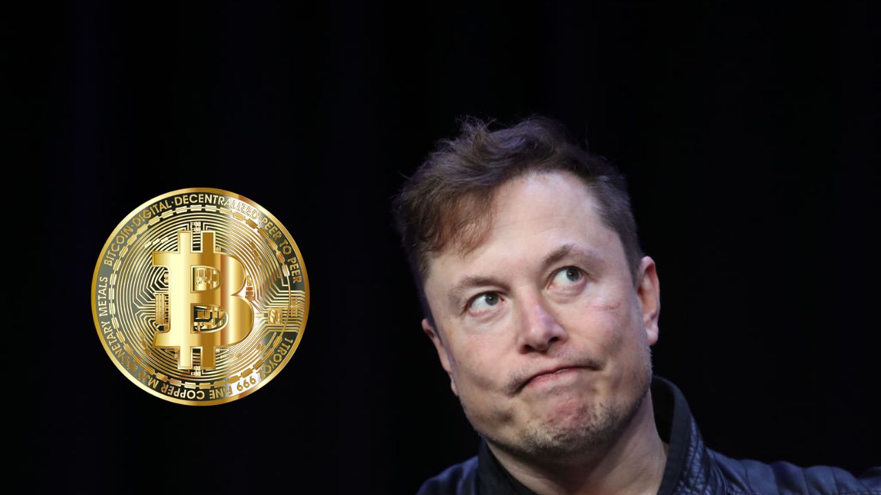 Crypto News Today: Elon Musk Resigns from DOGE...What Happened to Dogecoin  Now?