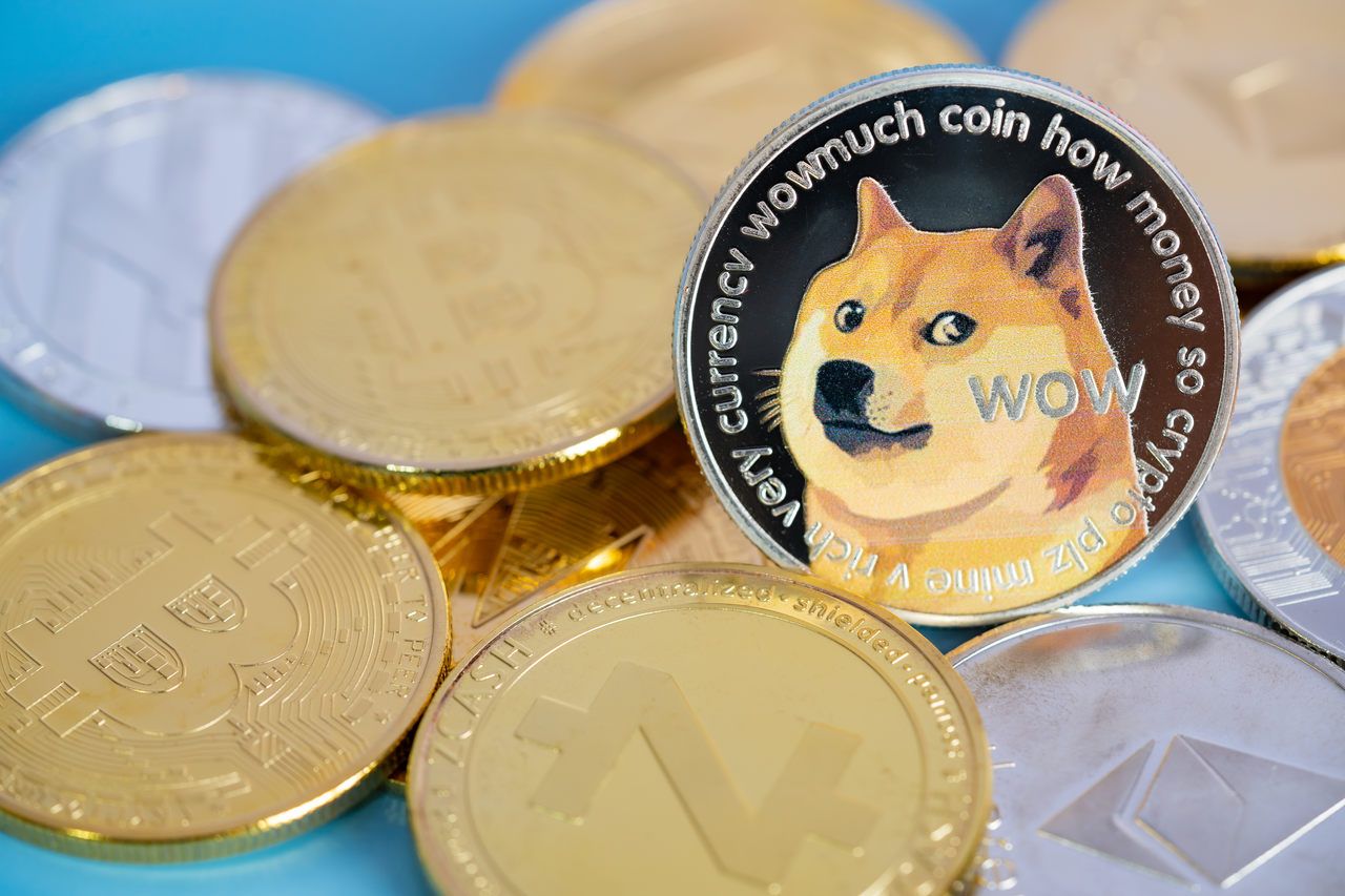 Kann ich mit dem Dogecoin in den nachsten Jahren reich werde