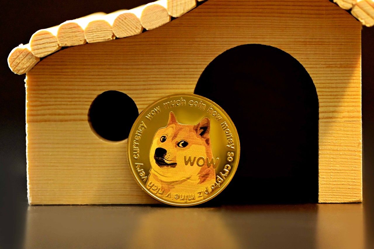 Wie viel ist der Dogecoin im Jahr 2030 wert? - Die große Dog