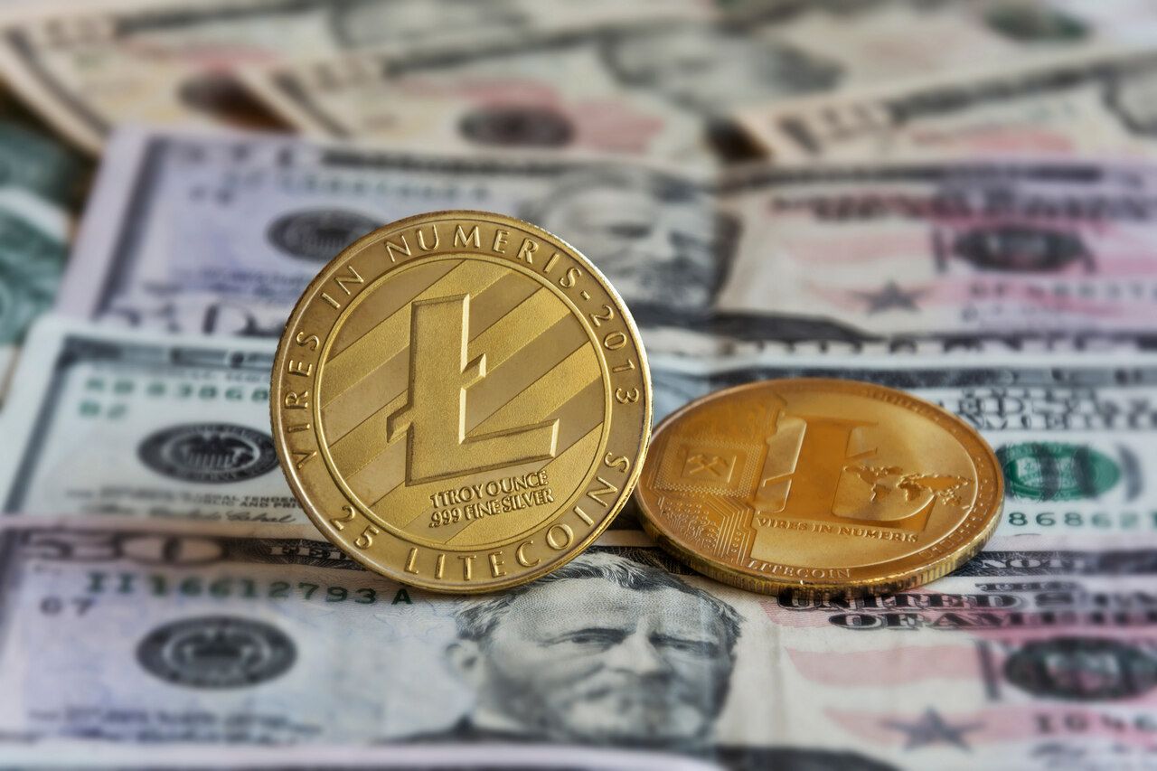 Kann der Litecoin Kurs im kommenden Bullenmarkt die Marke vo
